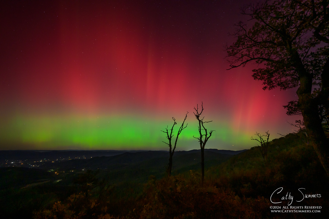 20241010_NZ80091: trees, Shenandoah National Park, Skyline Drive, Jewel Hollow, aurora borealis