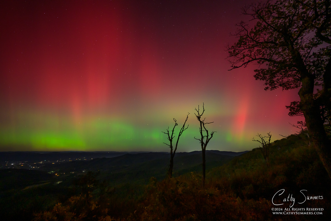 20241010_NZ80093: trees, Shenandoah National Park, Skyline Drive, Jewel Hollow, aurora borealis