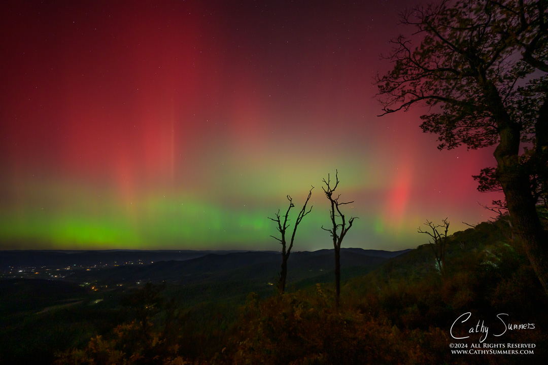 20241010_NZ80097: trees, Shenandoah National Park, Skyline Drive, Jewel Hollow, aurora borealis