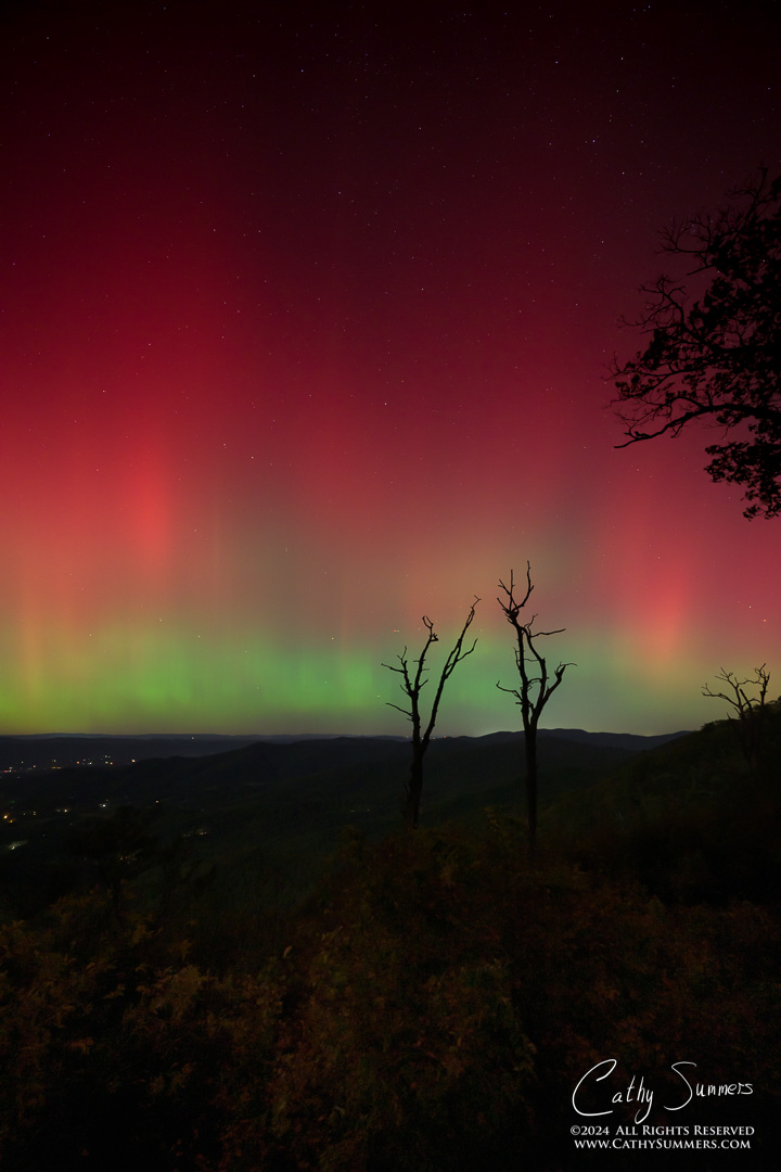 20241010_NZ80106: trees, Shenandoah National Park, Skyline Drive, Jewel Hollow, aurora borealis