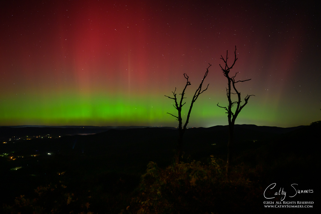 20241011_NZ80024: trees, Shenandoah National Park, Skyline Drive, Jewel Hollow, aurora borealis