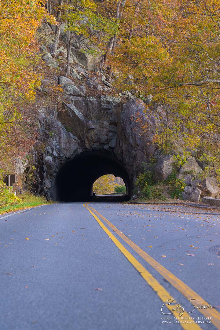Marys Rock Tunnel on an Autumn Morning in Shenandoah National Park
