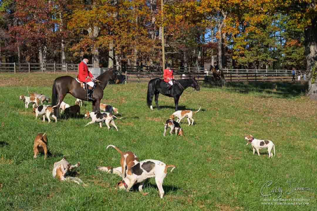 20241109_027: Millington, Opening Hunt