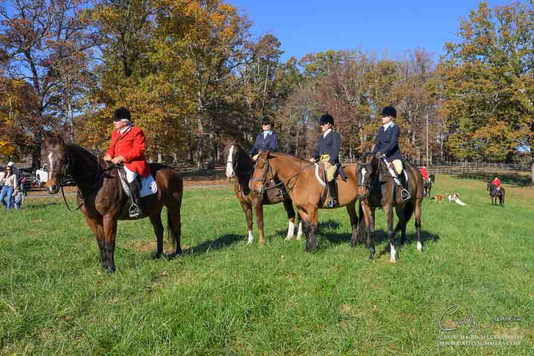 20241109_083: Millington, Opening Hunt