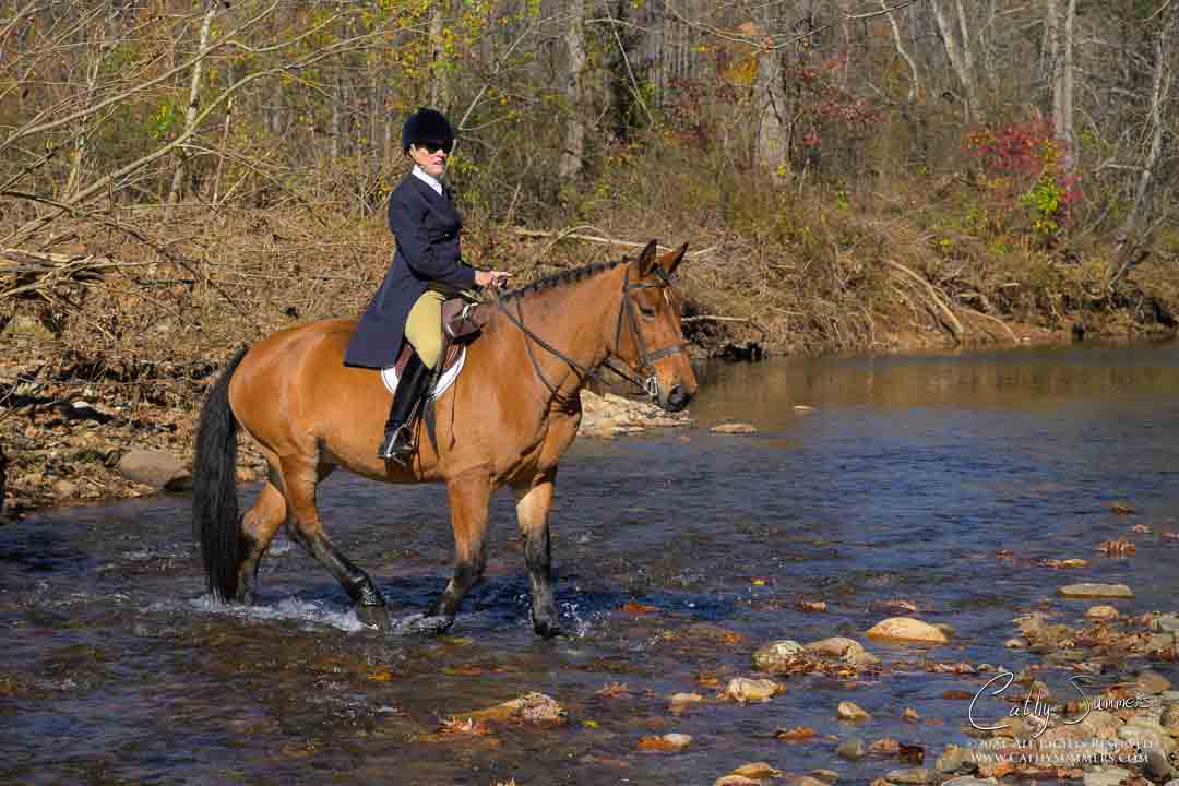 20241109_297: Millington, Opening Hunt