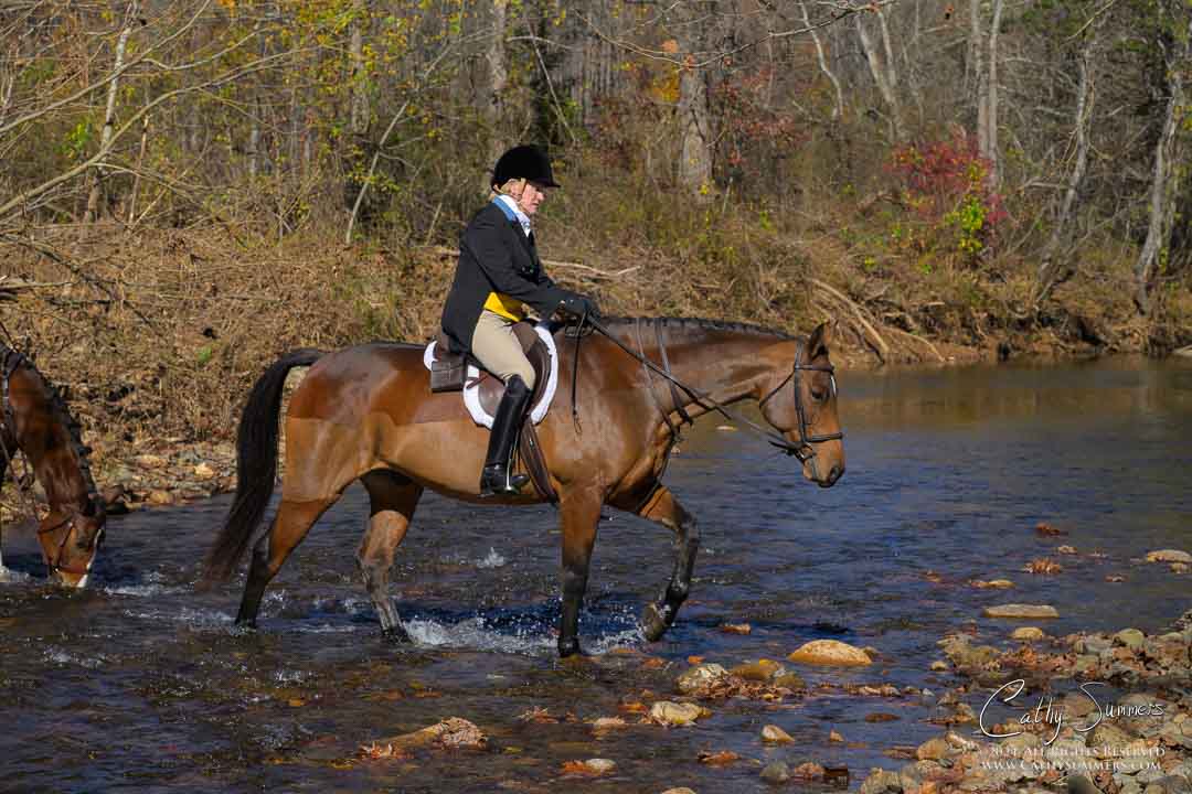 20241109_301: Millington, Opening Hunt