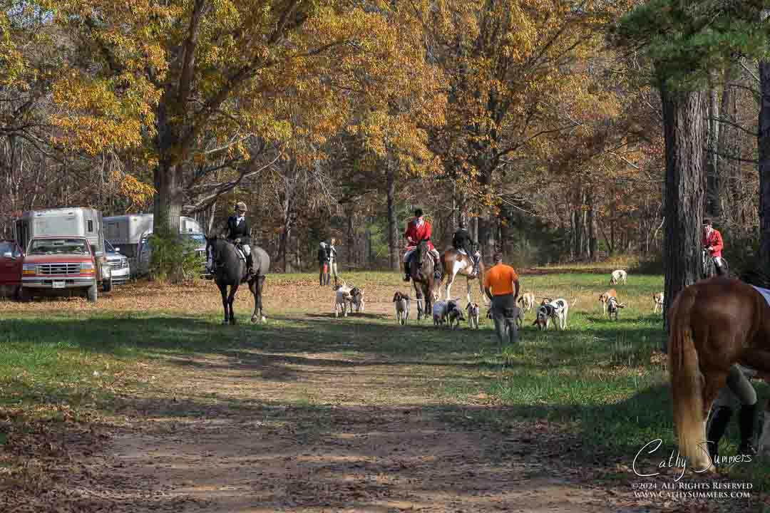 20241109_469: Millington, Opening Hunt