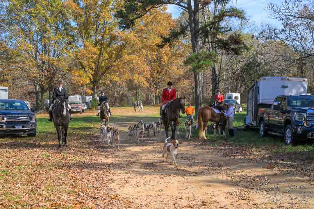 20241109_470: Millington, Opening Hunt