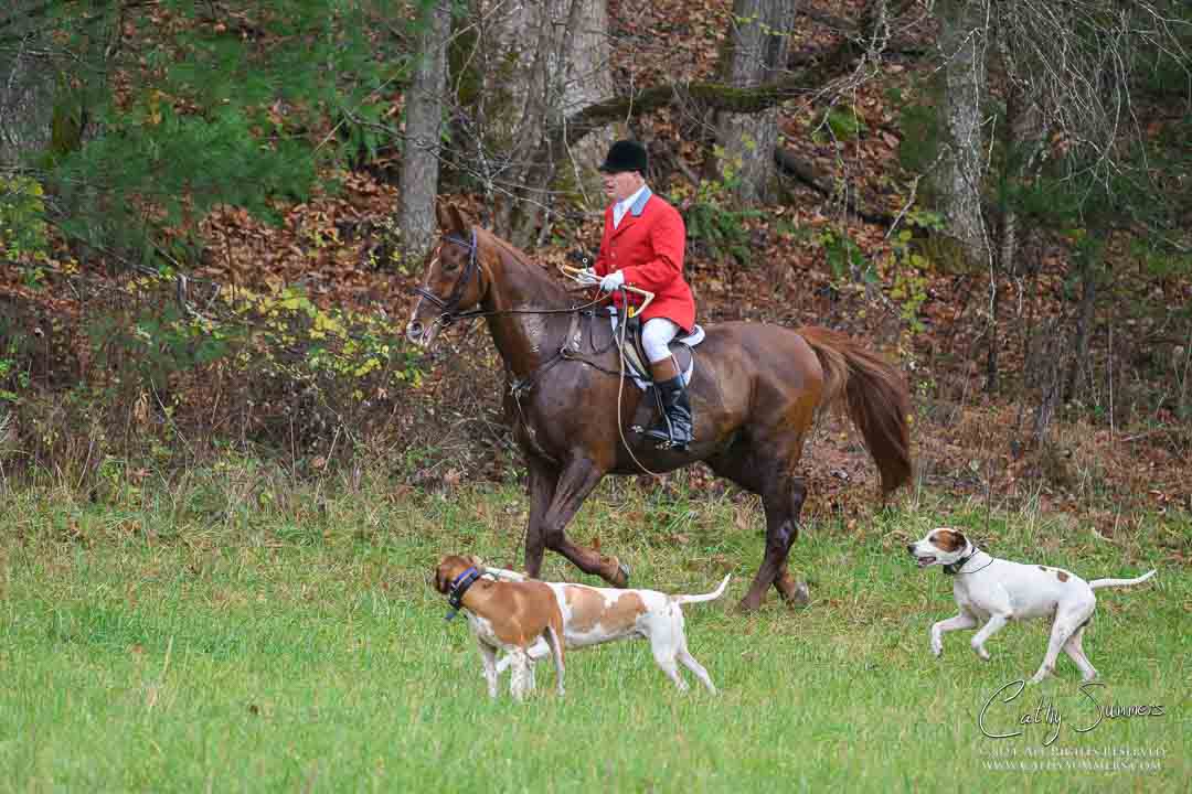 20241128_191: Thanksgiving Hunt