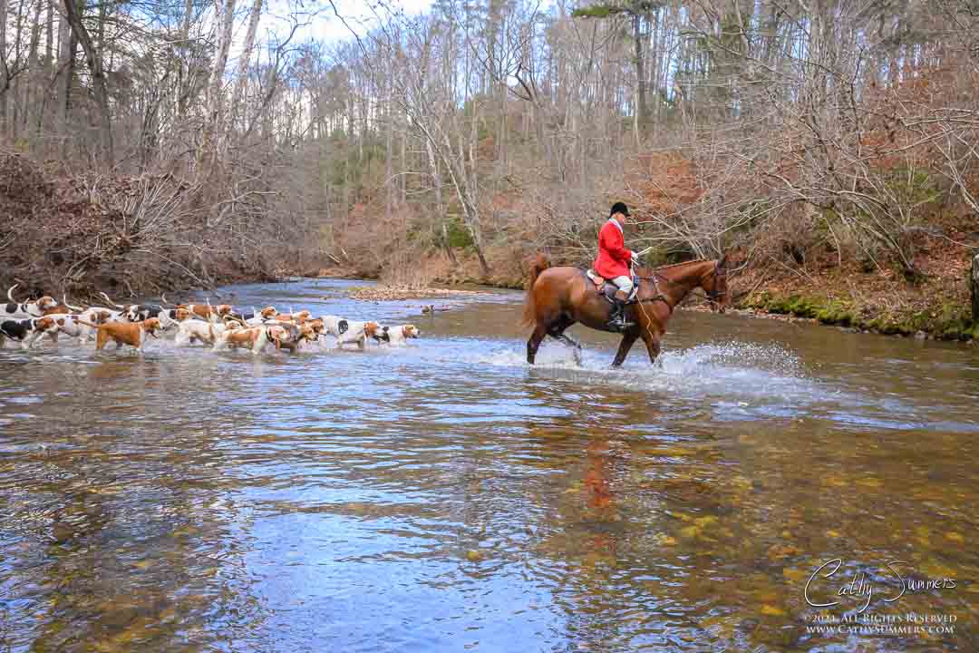 20241128_378: Thanksgiving Hunt