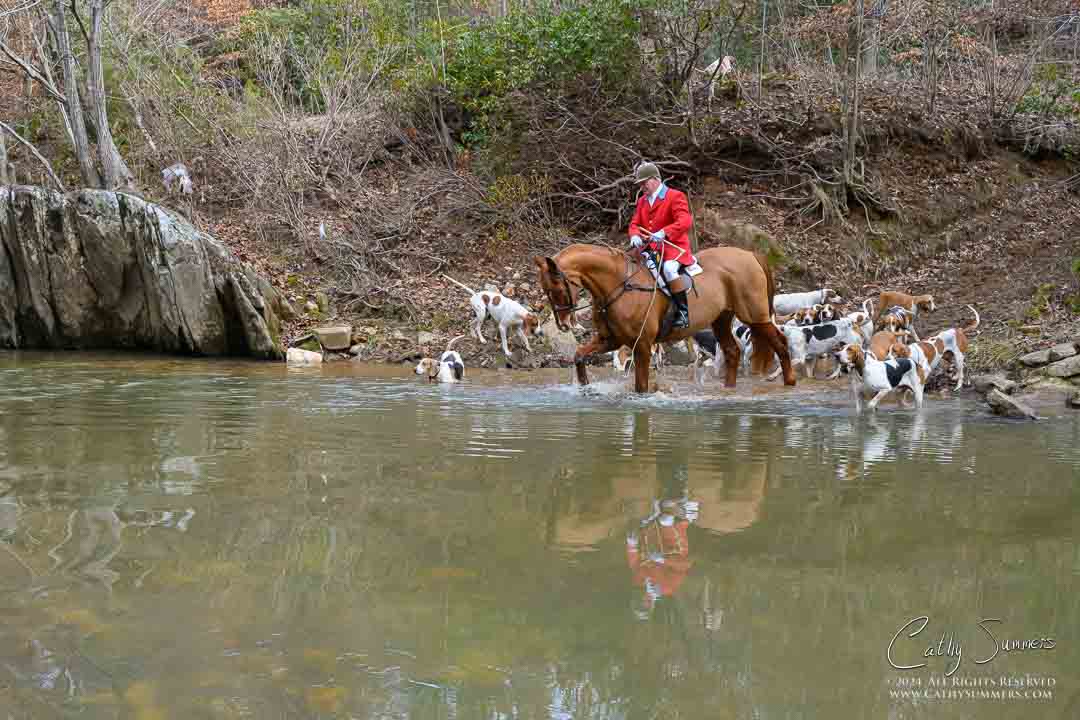 20241231_183: reflection, hounds, Huntsman, Mechum's River, Matthew Cook