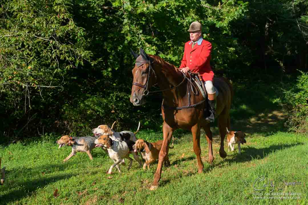 fox hunting, huntsman, hounds, Farmington Hunt Club
