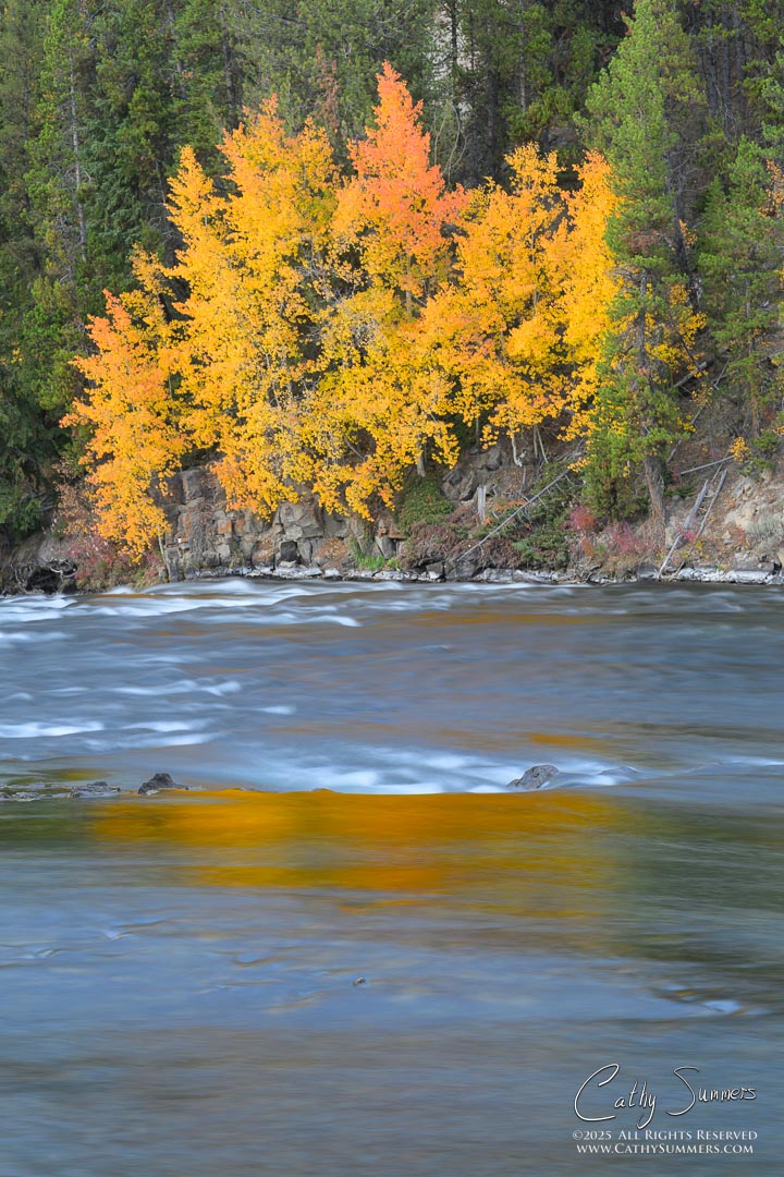 Autumn Colors at Le Hardy Rapids on the Yellowstone River