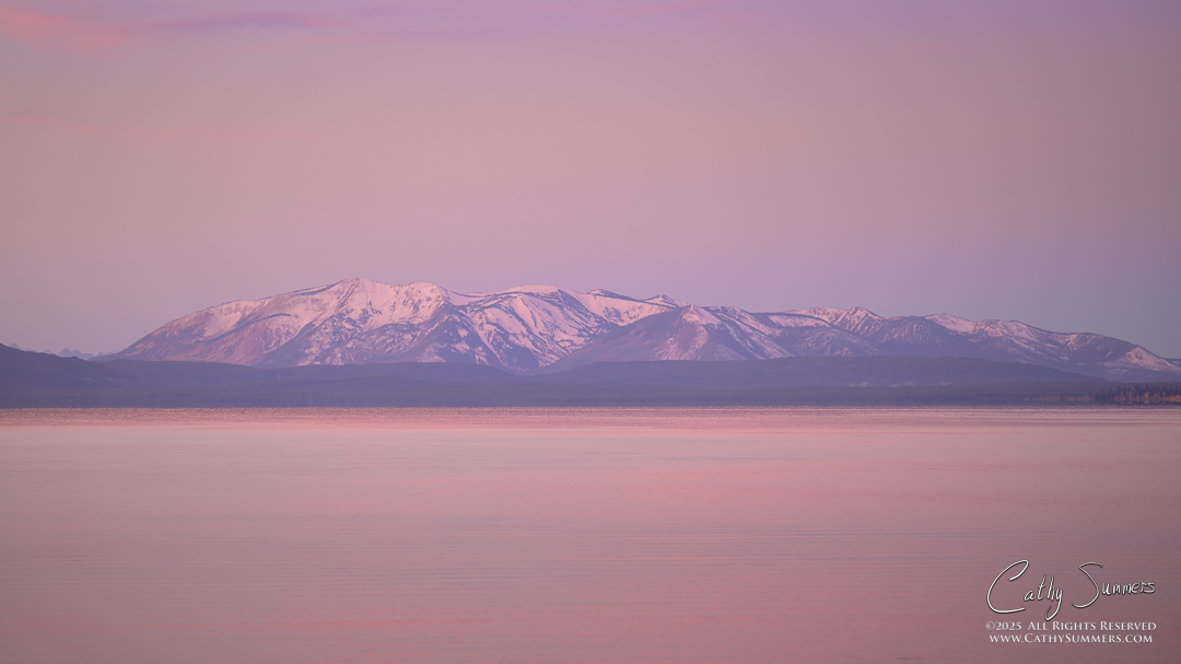 Dawn Colors Reflected in Yellowstone Lake