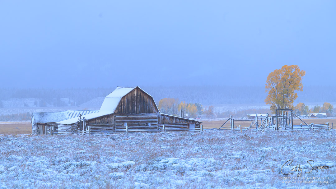 John Moulton Barn on a Snowy October Morning in Grand Teton National Park