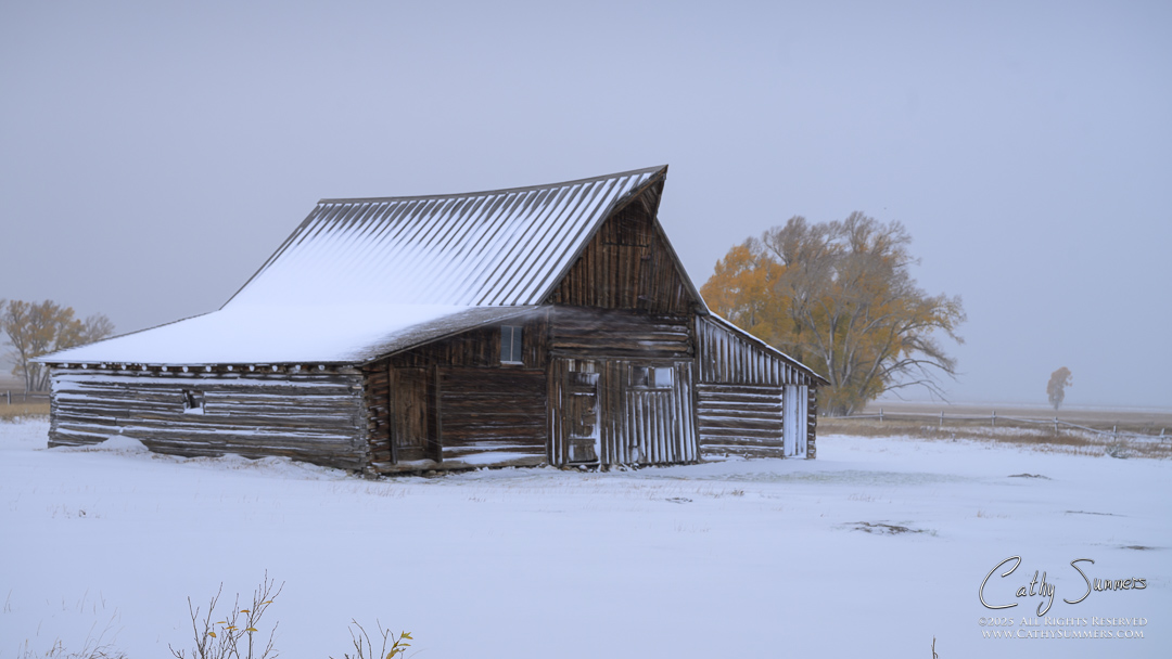 TA Moulton Barn on a Snowy Autumn Morning in Grand Teton National Park