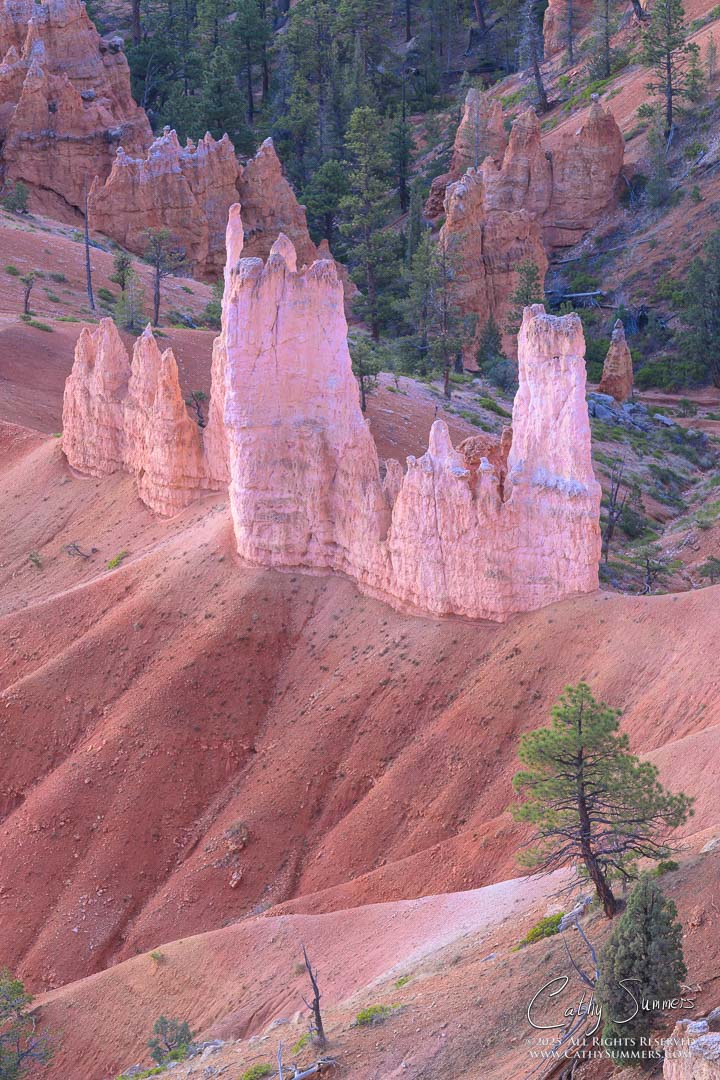Hoodoos in Bryce Canyon National Park Before Sunrise