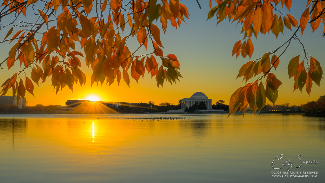 Autumn Sunrise at the Tidal Basin - Composite Photo (Focus Stack)