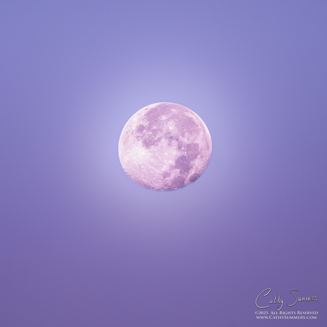 Waning Beaver Moon in the Morning Twilight at Big Meadows