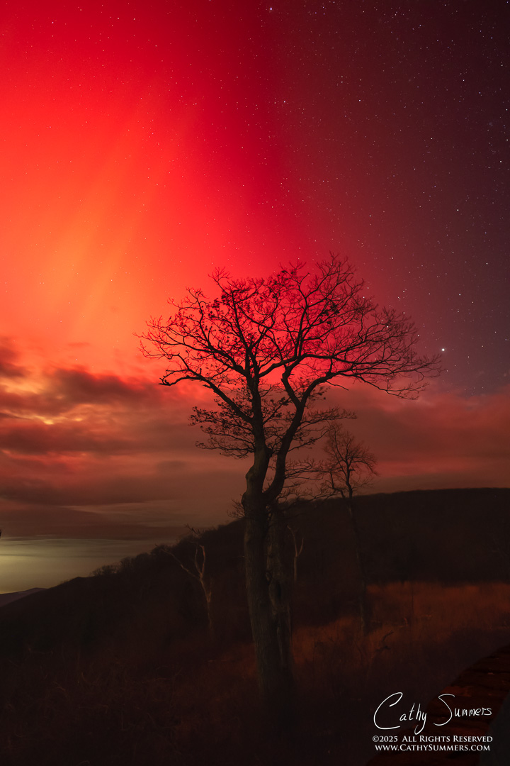 aurora, aurora borealis, northern lights, astrophotography, Shenandoah National Park, nightscape