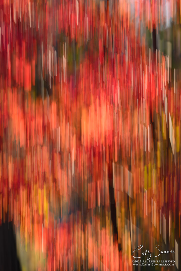 Fall(ing) - Intentional Camera Movement