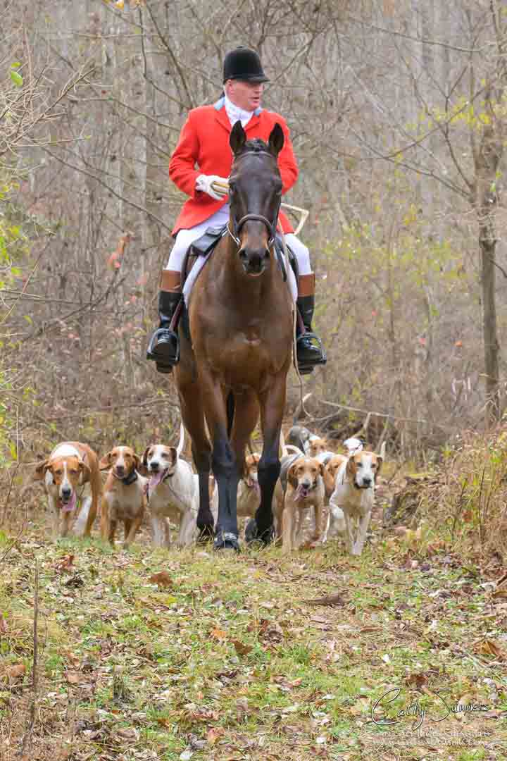 fox hunting, huntsman, hounds, Farmington Hunt Club