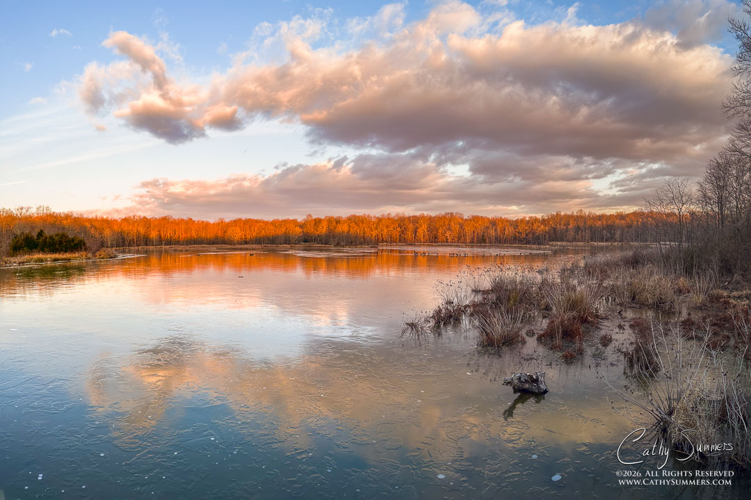 Cold Morning at Huntley Meadows