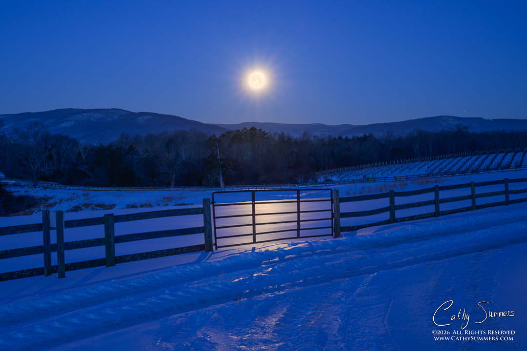 Snow Moon Setting Over Sugar Hollow from Knole