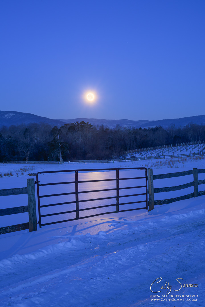 Snow Moon Setting Over Sugar Hollow from Knole