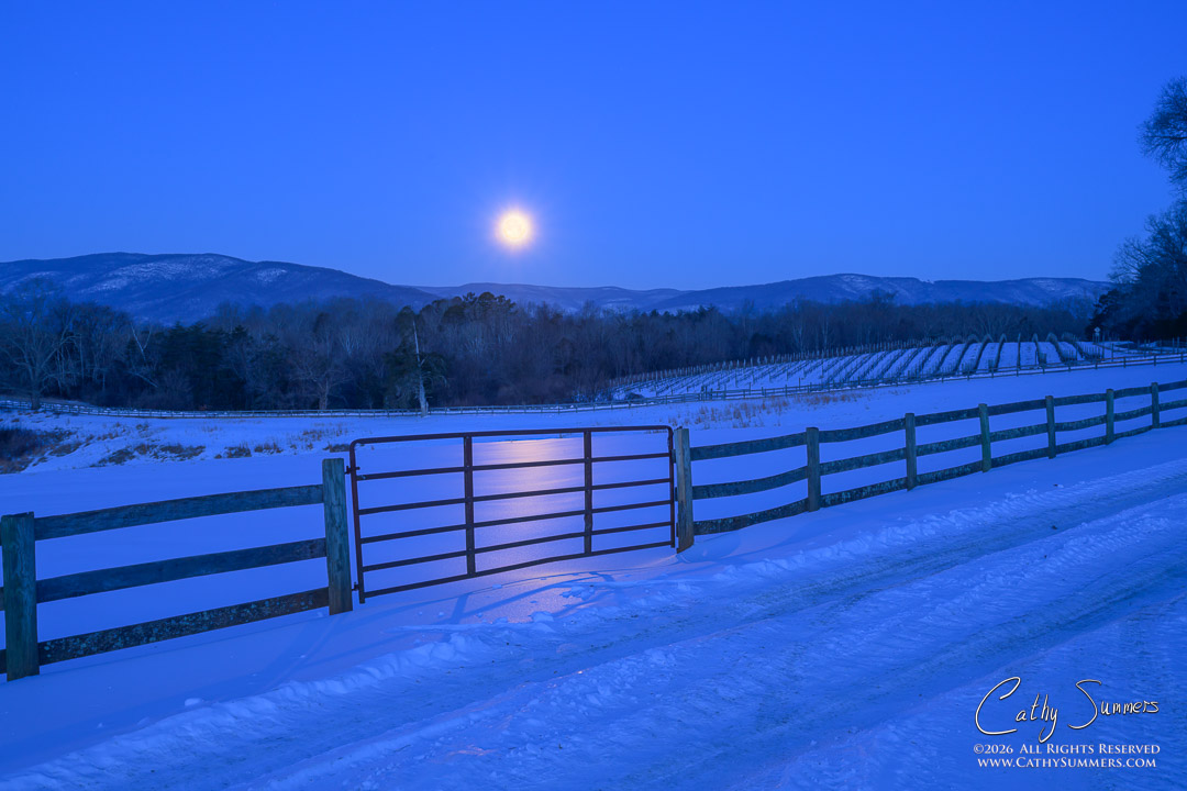 Snow Moon Setting Over Sugar Hollow from Knole