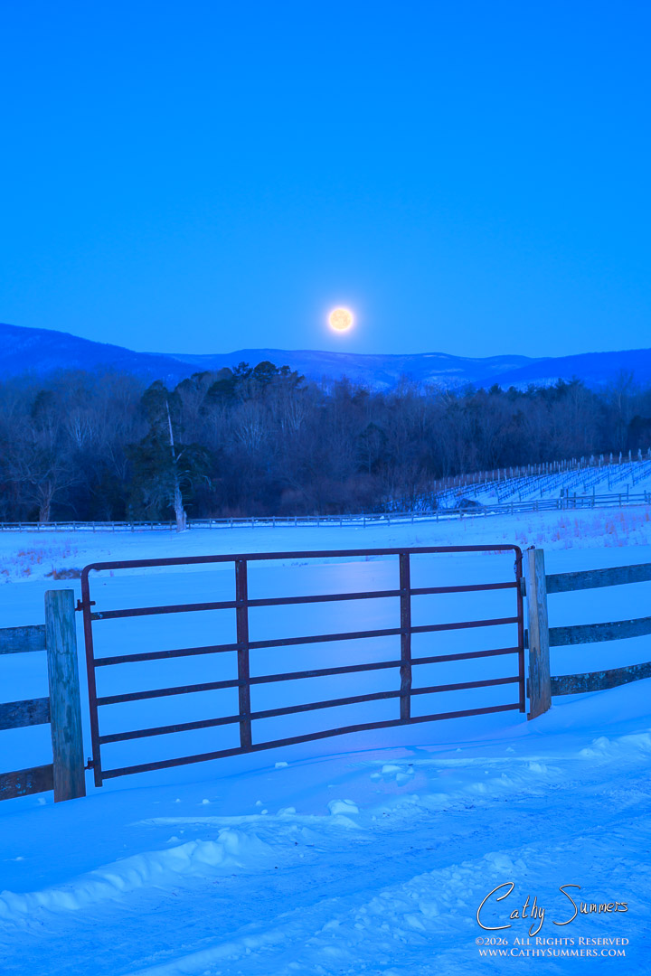 Snow Moon Setting Over Sugar Hollow from Knole