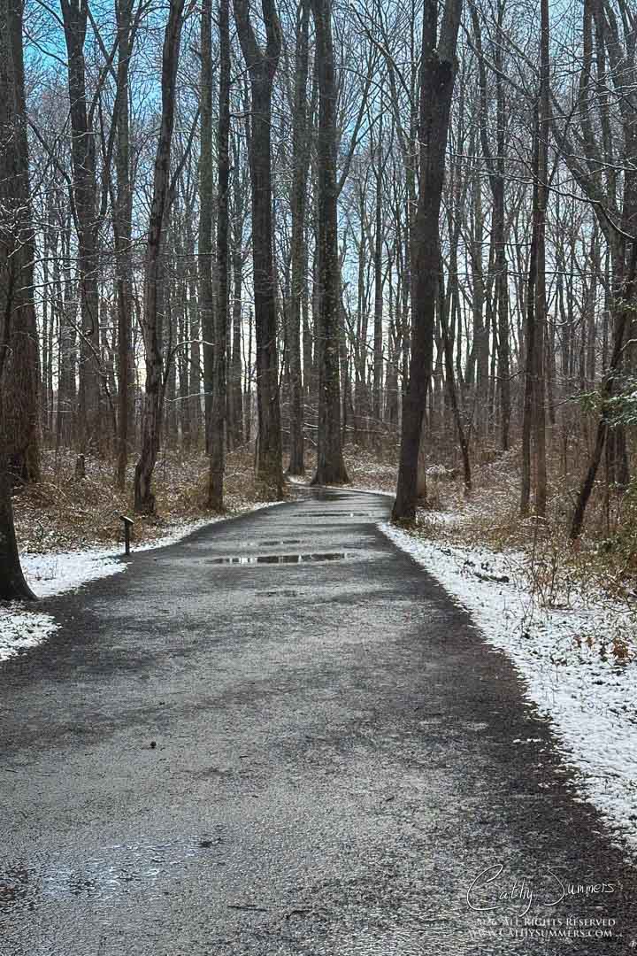 A Spring Day at Huntley Meadows