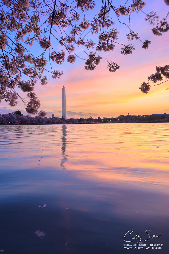 Washington Monument and Reflection in the Tidal Basin at Sunrise - Composite Photo / Exposure Blend