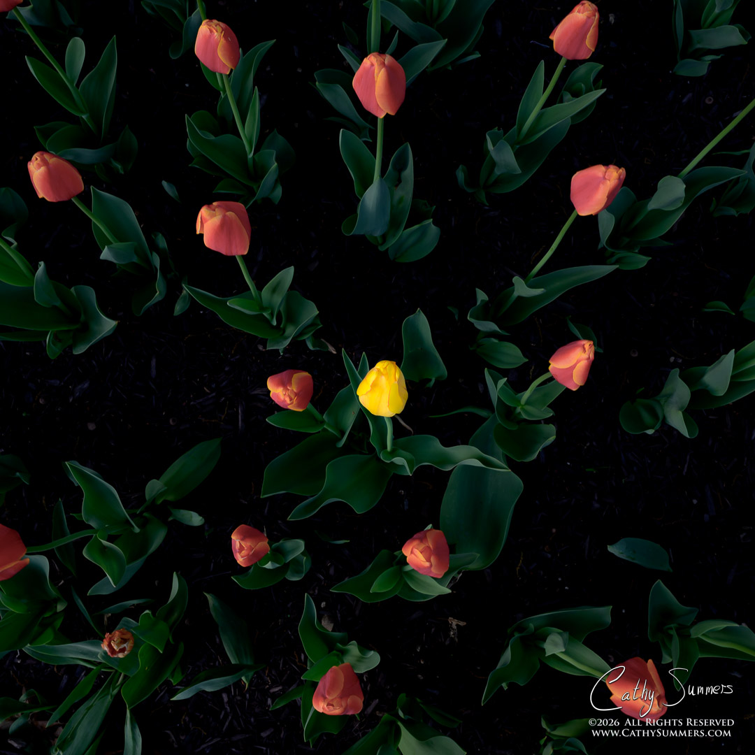 Be Different