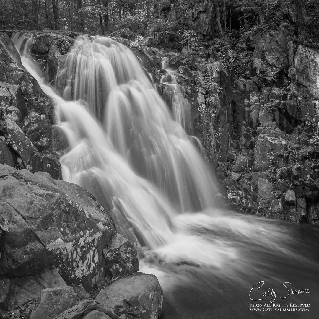 Rose River Falls on the Last Day of Spring - Composite Photo: Exposure Blend and Vertical Panorama - Black & White