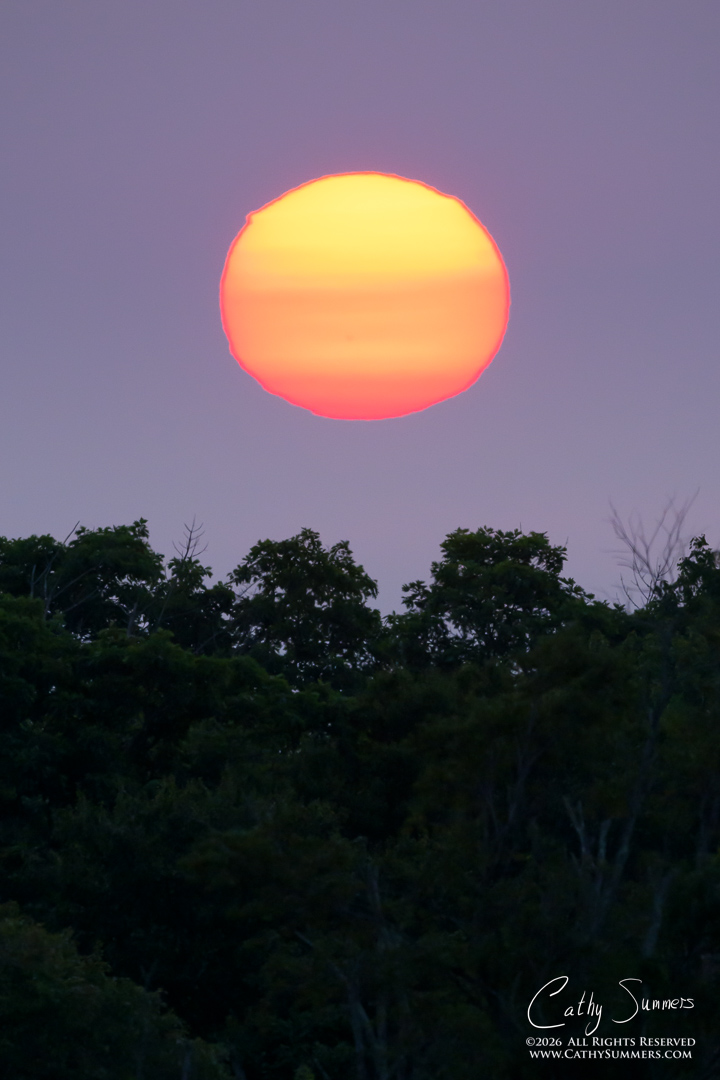 Rising Sun on a Smoky Summer Morning at Big Meadows, Shenandoah National Park