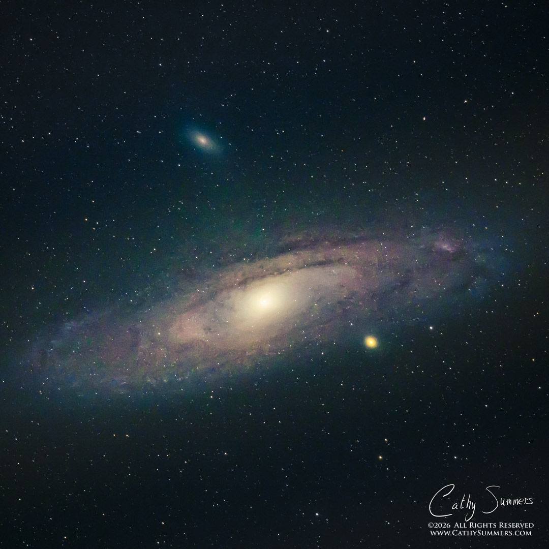Andromeda on a Not Quite Clear Summer Night in Shenandoah National Park