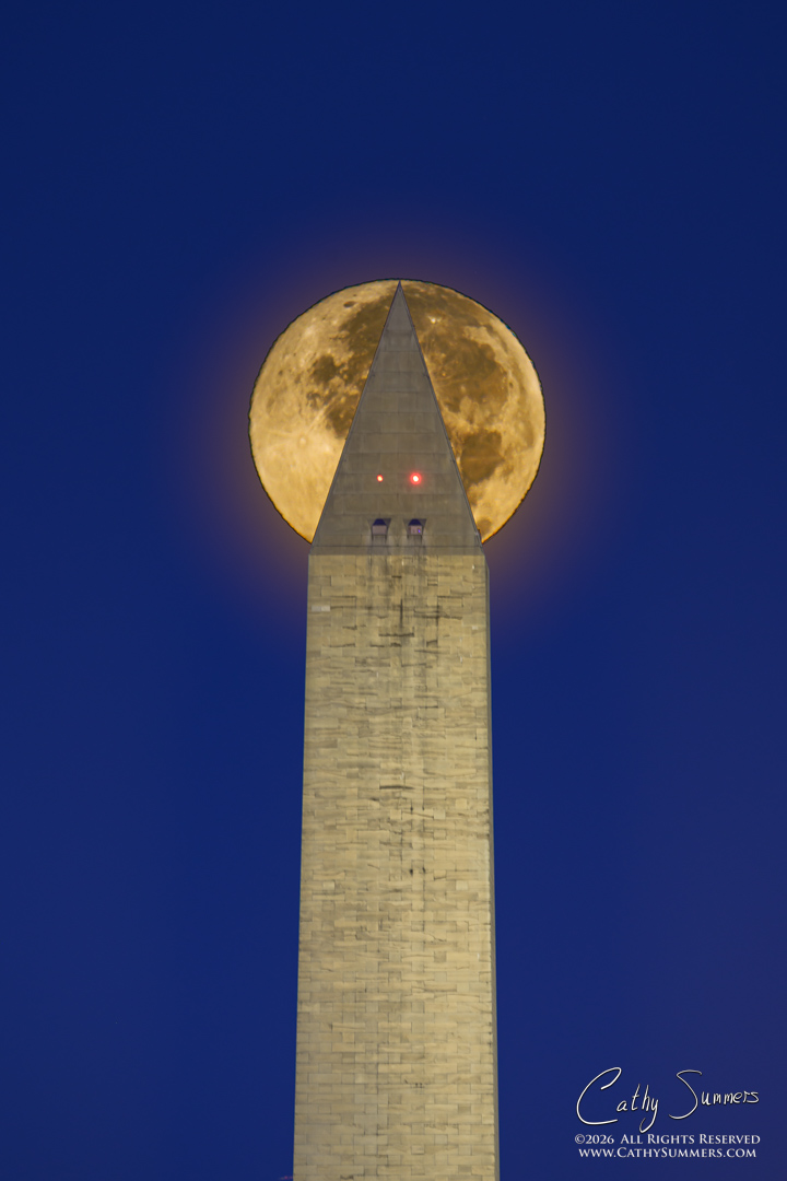 Harvest Moon Setting Behind the Washington Monument - Composite Photo