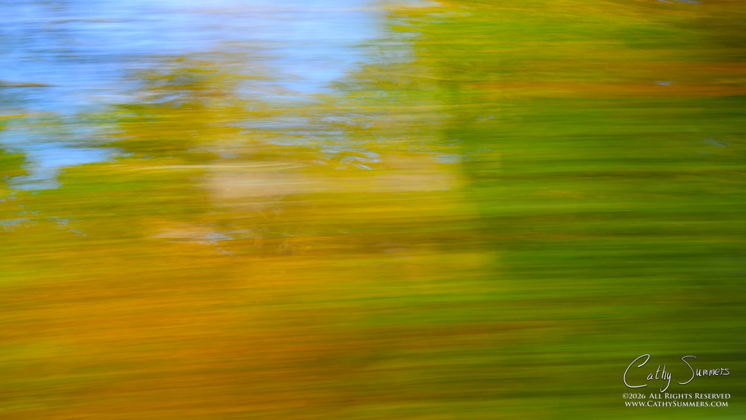Autumn Colors on Skyline Drive at 35MPH