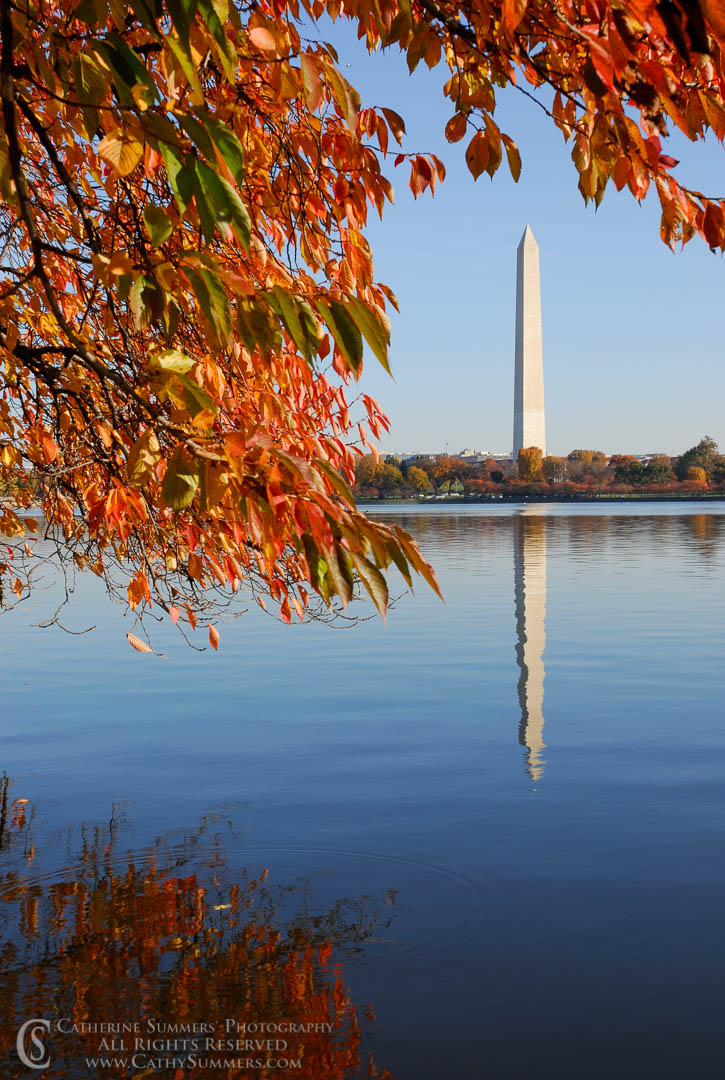 DC_2006_004: DC, Tidal Basin, Washington, cherry trees, reflection, autumn, Washington Monument