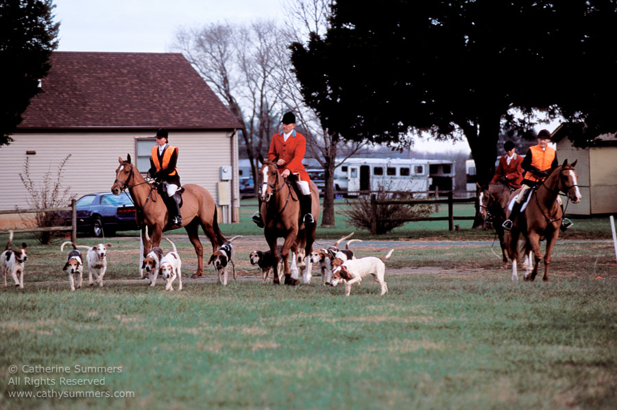 F2003_093: 2003, Farmington Hunt, Fox Hunting, Thanksgiving Hunt