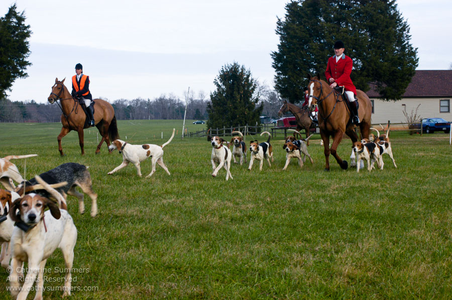 F2003_103: 2003, Farmington Hunt, Fox Hunting, Thanksgiving Hunt