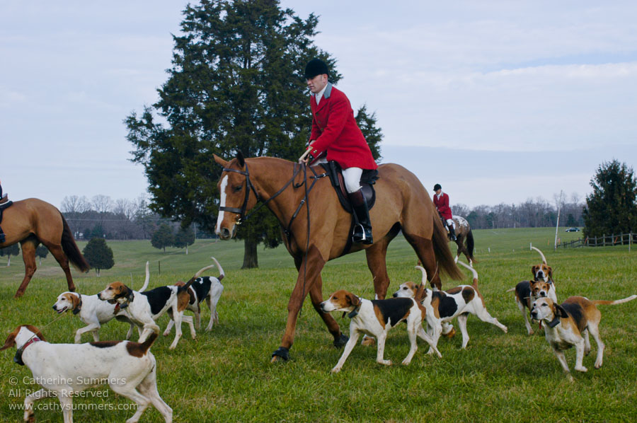 F2003_104: 2003, Farmington Hunt, Fox Hunting, Thanksgiving Hunt