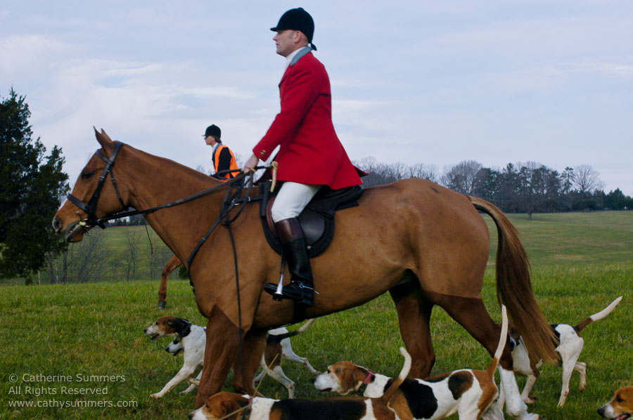 F2003_105: 2003, Farmington Hunt, Fox Hunting, Thanksgiving Hunt