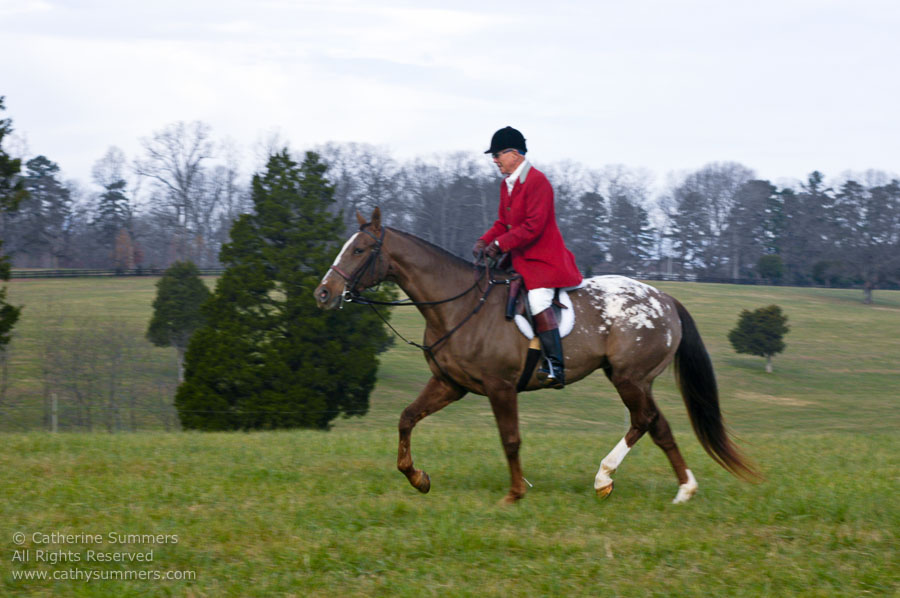 F2003_106: 2003, Farmington Hunt, Fox Hunting, Thanksgiving Hunt, Paul Summers