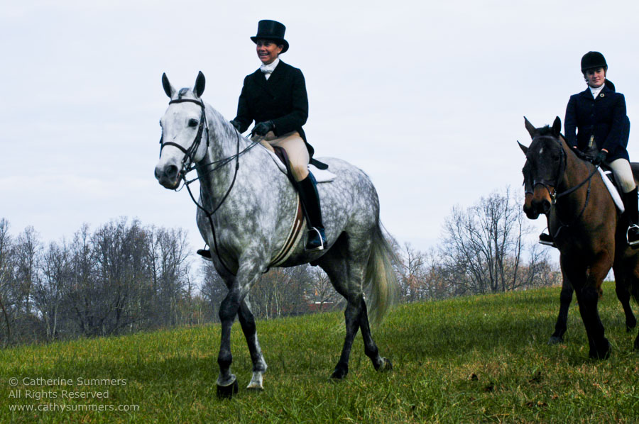 F2003_113: 2003, Farmington Hunt, Fox Hunting, Thanksgiving Hunt, Sue Tice