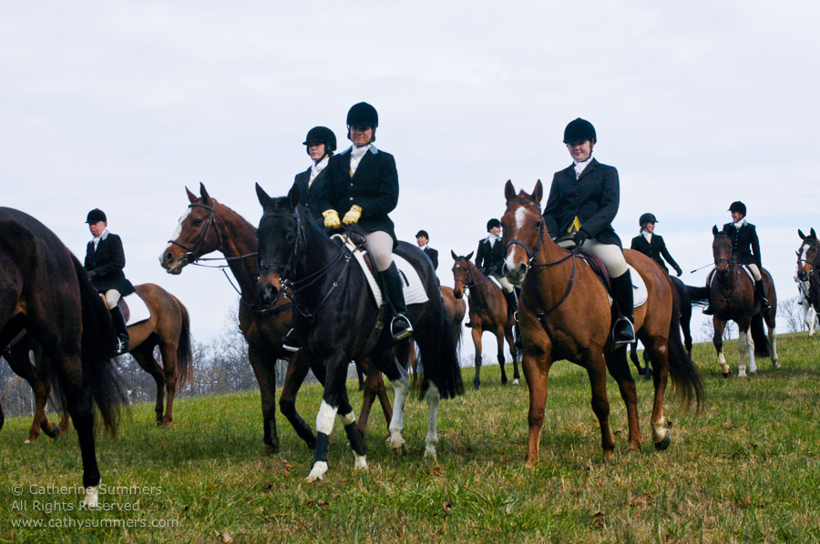 F2003_114: 2003, Farmington Hunt, Fox Hunting, Thanksgiving Hunt, Page Turner