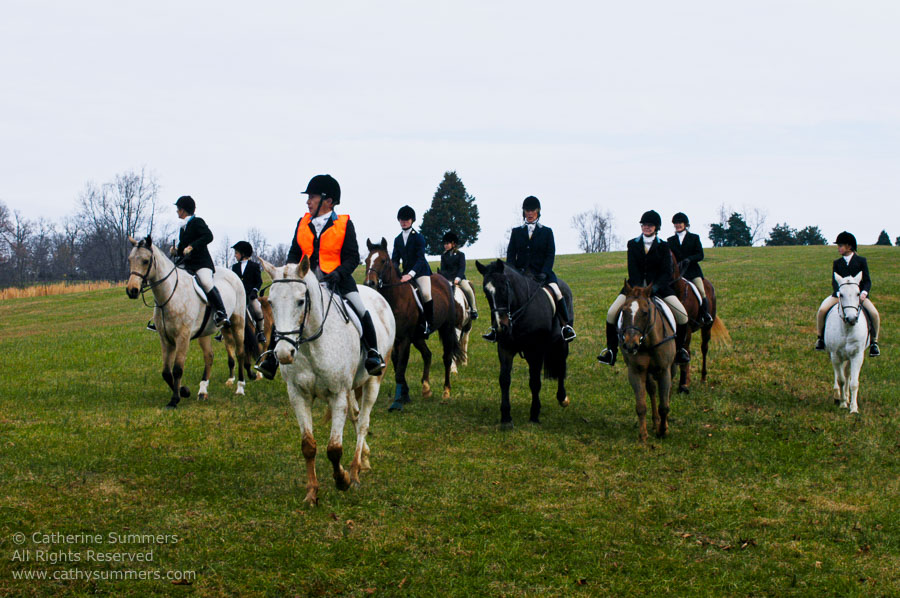 F2003_118: 2003, Farmington Hunt, Fox Hunting, Thanksgiving Hunt, Gloria Fennel