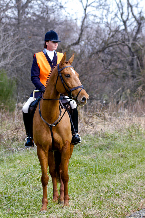F2003_123: 2003, Farmington Hunt, Fox Hunting, Allison Beeney, Whipper-In, Thanksgiving Hunt
