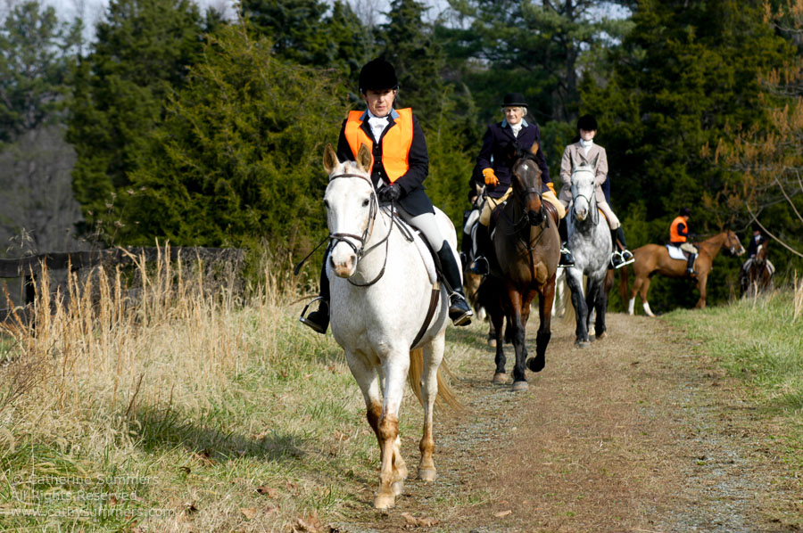 F2003_126: 2003, Farmington Hunt, Fox Hunting, Thanksgiving Hunt, Elliewood Baxter, Gloria Fennel